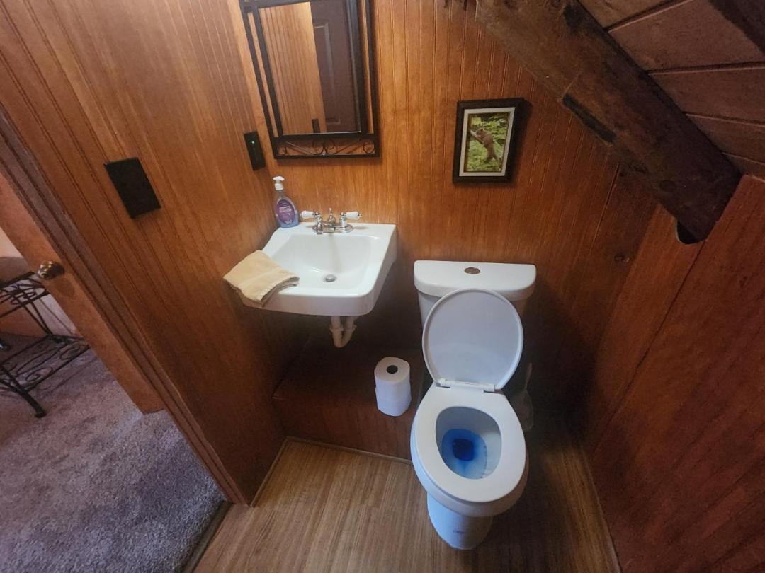 Very Private, Real Log Cabin With Hot Tub! Sevierville Exteriér fotografie
